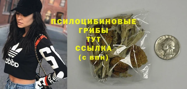 мяу мяу мука Абаза