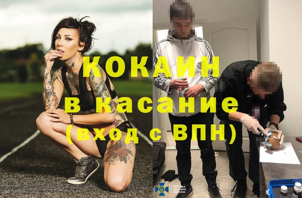 шишки Алексин