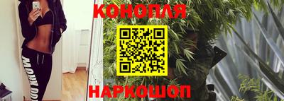 гидропоника Изобильный